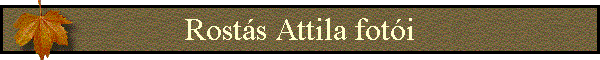 Rost�s Attila fot�i